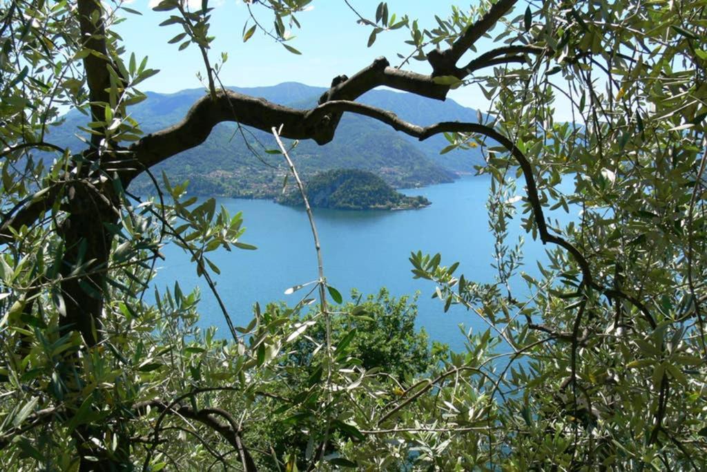 Luci Sul Lago - A Real Paradise ペルレード エクステリア 写真